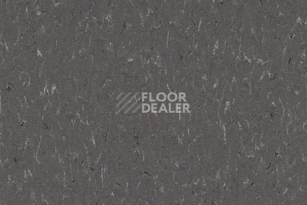 Линолеум Marmoleum Decibel on Order 360735 grey dusk фото 1 | FLOORDEALER